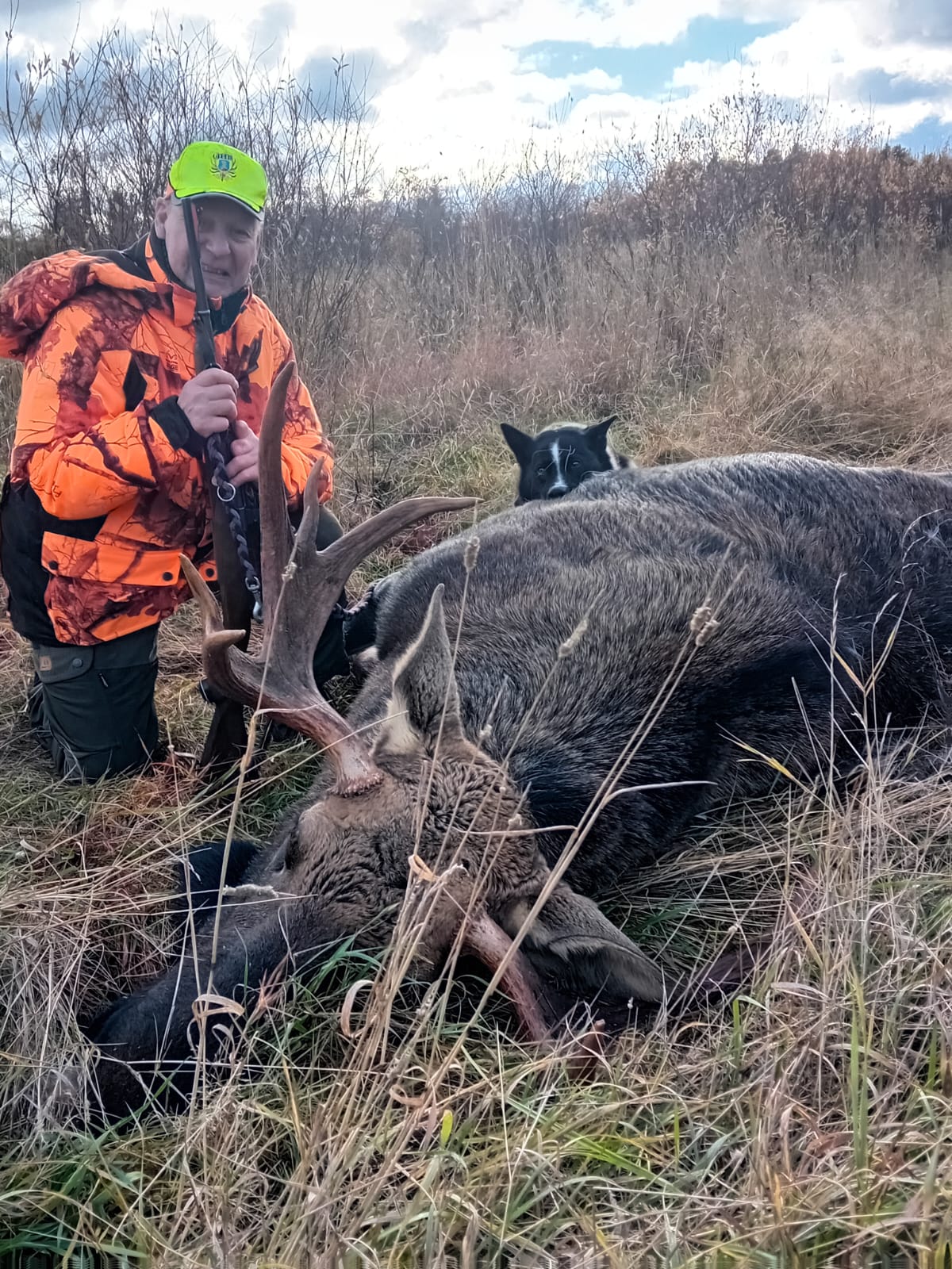 Experience small game hunting on the hunting grounds of Vehun Riistamiehet with a guest permit and expert guidance from Nature Paavola